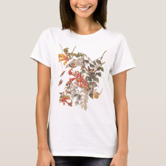 audubon society shirt