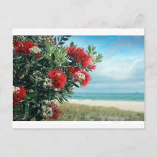 New Zealand Christmas Cards | Zazzle