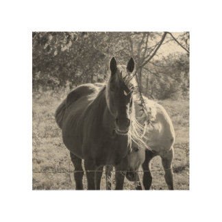 Black And White Horse Art & Framed Artwork | Zazzle