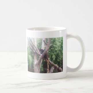 St Louis Zoo Gifts on Zazzle