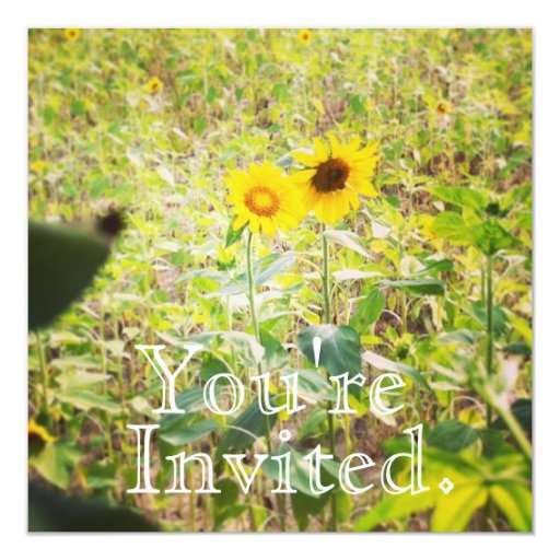 Stylish Sunflowers Wedding Invitation 5.25" Square Invitation Card