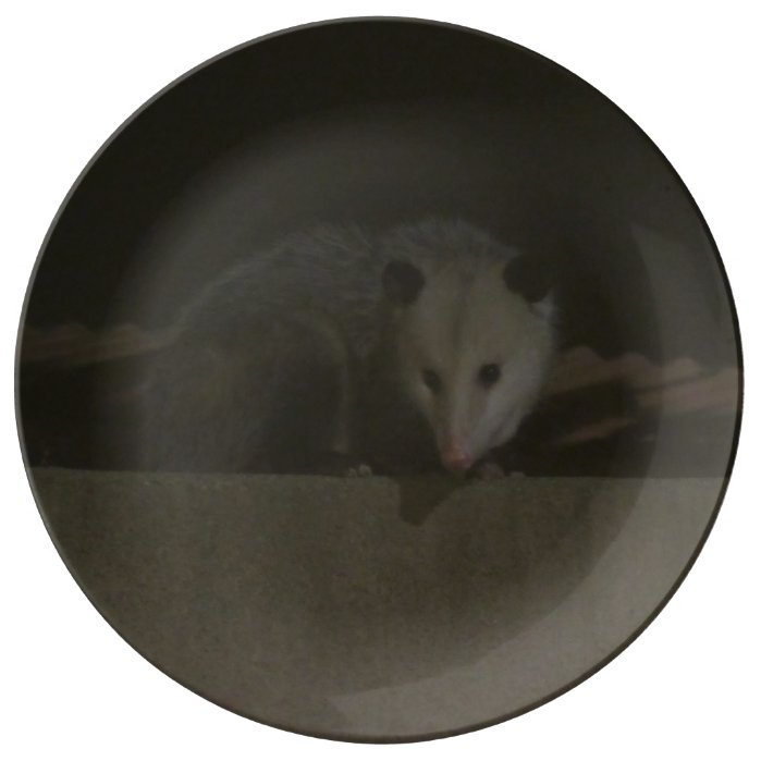 The Opossum Plate