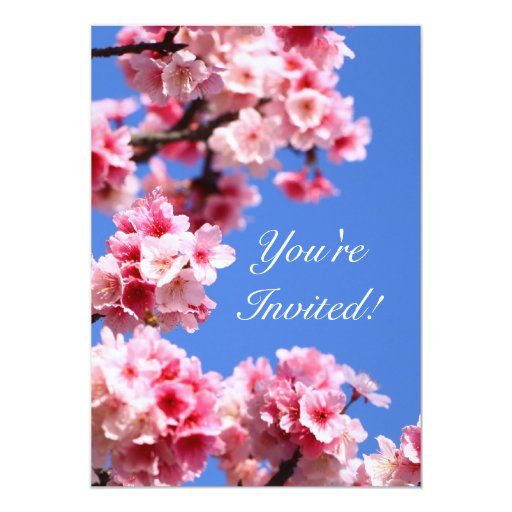Graceful Cherry Blossom Birthday Party Invitation 5" X 7" Invitation Card (front side)