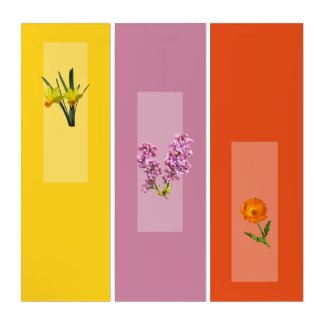 Triptych - Botanical Images