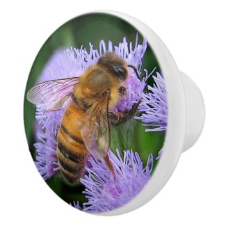 Honey Bee on Ageratum Ceramic Knob