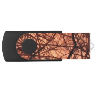 Forest Sunrise Abstract Swivel USB 2.0 Flash Drive