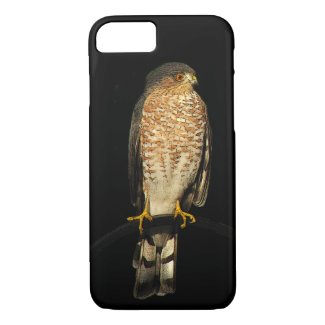 Hawk Bird iPhone 7 Case