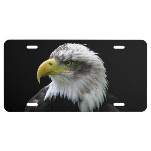 Bald Eagle License Plate