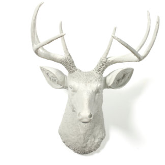 White Antlers with White Stag Deer Head