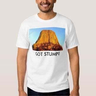 Flat Earth Has No Forests Got Stump Men's T-Shirt