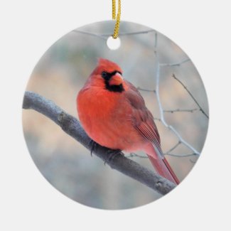 Cardinal Creek Ornament