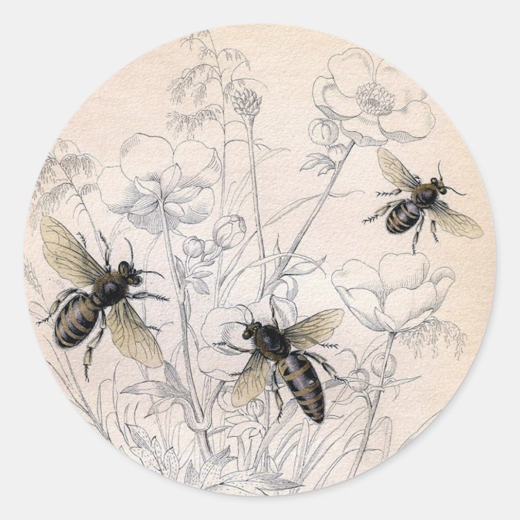 Sticker Rond Copie vintage d'art d'abeille de miel