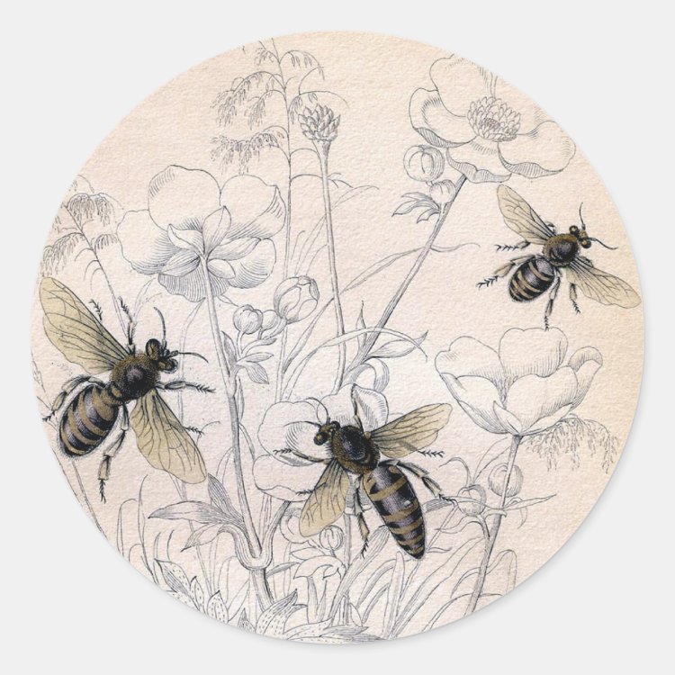 Sticker Rond Copie vintage d'art d'abeille de miel