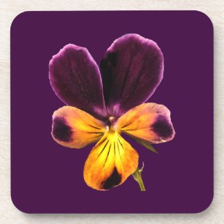 Floral Purple Yellow Johnny Jump Up Flower Coaster