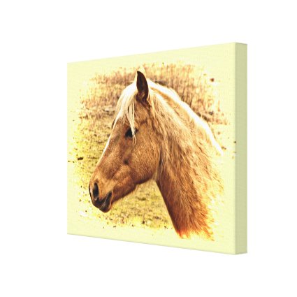Golden Brown Horse in Sun Animal Canvas Print