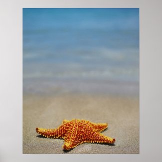 The Starfish Story - making a difference