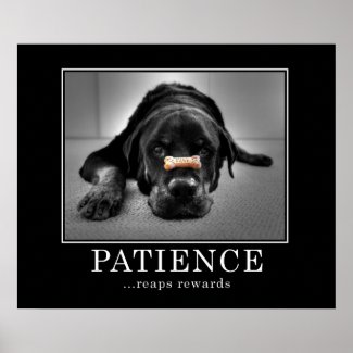 &quot;Patience Reaps Rewards&quot; Poster