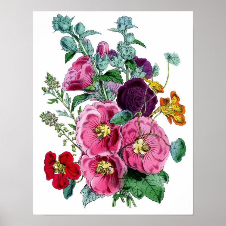 Botanical Print - Hollyhocks &amp; Roses