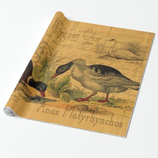 Mallards and Swan Collage Wrapping Paper