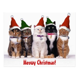 &quot;Meowy Christmas!&quot; Cats Postcard