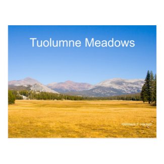 Tuolumne Meadows Yosemite California Products Postcard