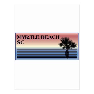 Myrtle Beach SC Palm Tree Postcard