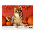 Wolf Fall Holiday Postcard