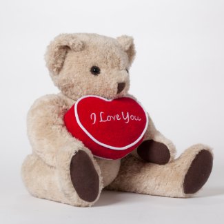 Personalized Teddy Bear with Message Pillow