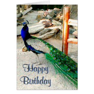 Birthday Card - Peacock Design, envelope included
