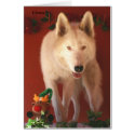 Arctic Wolf Christmas Card