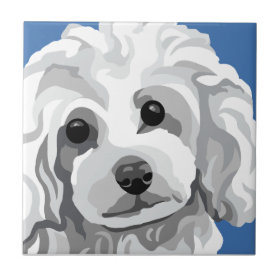 Contemporary White Poodle Art Tile