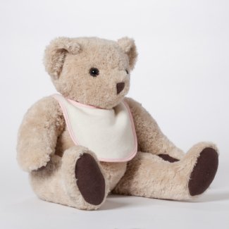 Personalized Teddy Bear with Message Bib