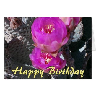Beavertail Cactus Blossoms - Birthday Card