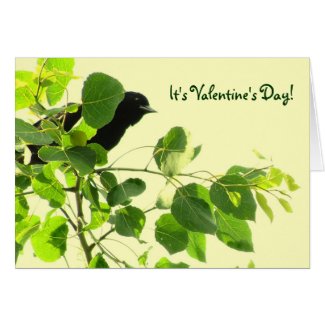 Blackbird Valentine Card