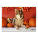 Wolf Fall Holiday Greeting Card
