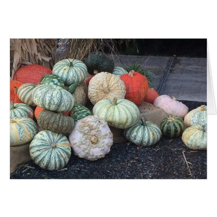 Colorful Pumpkins Card