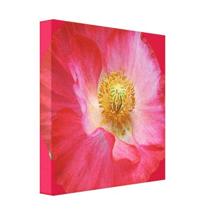 Poppy Canvas Print