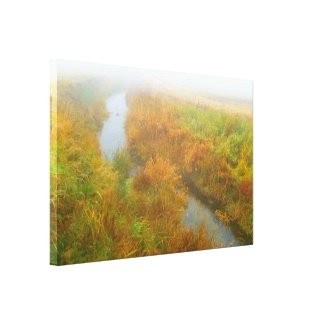 Foggy creek canvas print