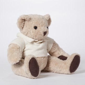 Personalized Teddy Bear with Message Shirt