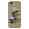 Wolf Case Savvy iPhone 5 Glossy Finish Case