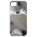 White Wolf iPhone SE/5/5s Case