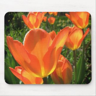 Orange Tulips Mousepad