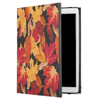 Autumn Leaves in Red Orange Yellow Brown iPad Pro Case