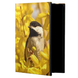 Bird in Forsythia Flowers Powis iPad Air 2 Case