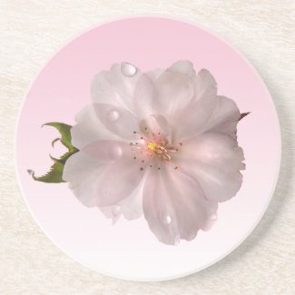 Cherry Blossom Sakura Drink Coaster