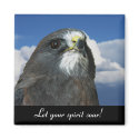 Swainson's Hawk - Let your spirit soar! magnets by ideapony Swainson's Hawk - Let your spirit soar! magnets
