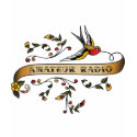 Swallow and Scroll with Amateur Radio t-shirts