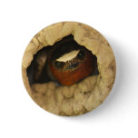 swallow button