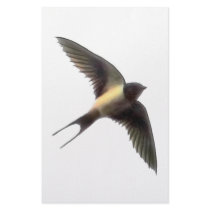 Swallow Clear Customized Stationery