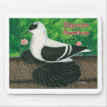 Swallow Pigeon:  Saxon Mouse Pads